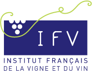 logo-ifv
