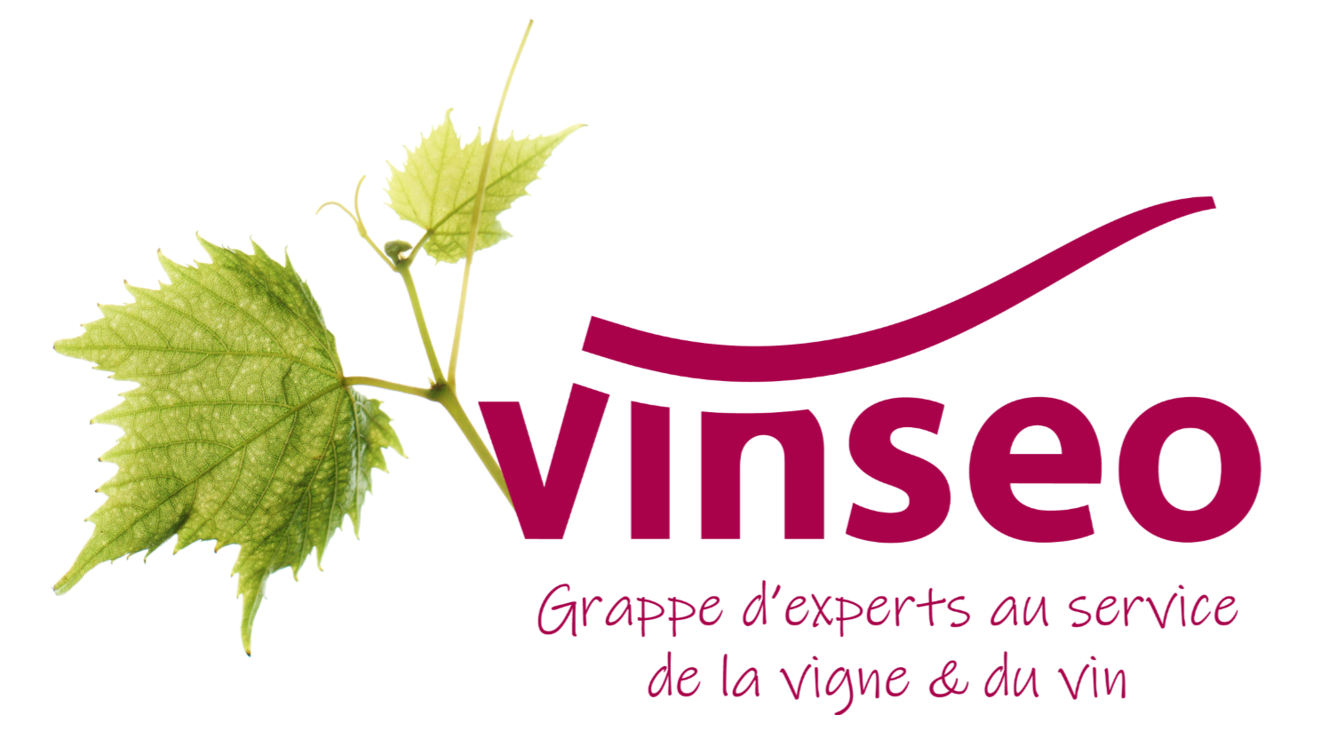 Logofeuille2