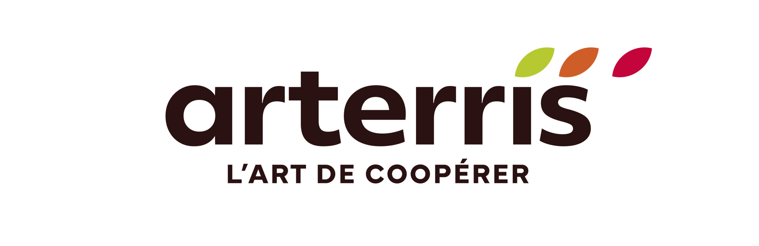 logo-arterris-CMJN